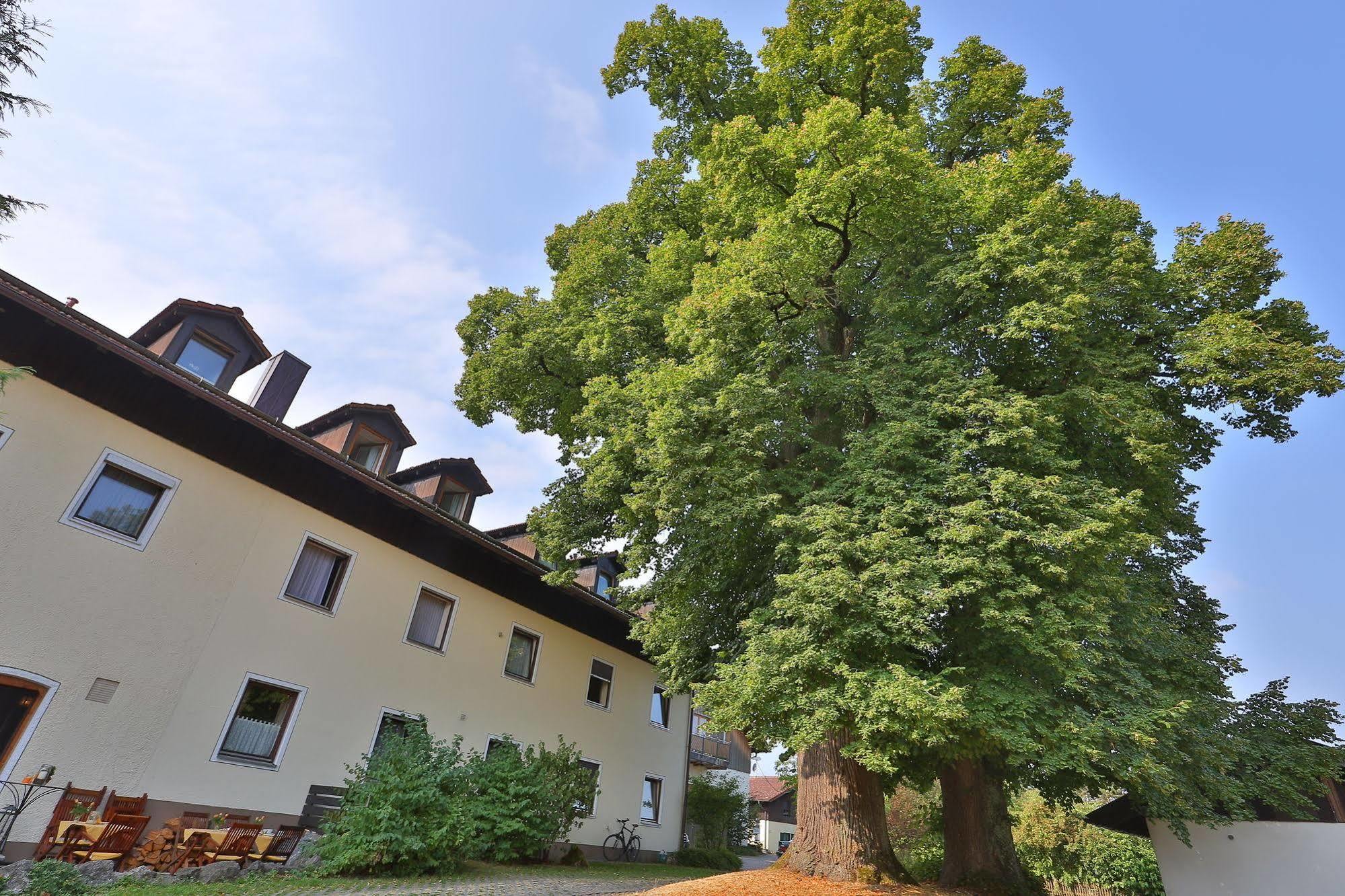 Hotel Bockmaier Oberpframmern ภายนอก รูปภาพ
